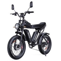 Ridstar Q20 Pro Electric Bike - Pogo Cycles
