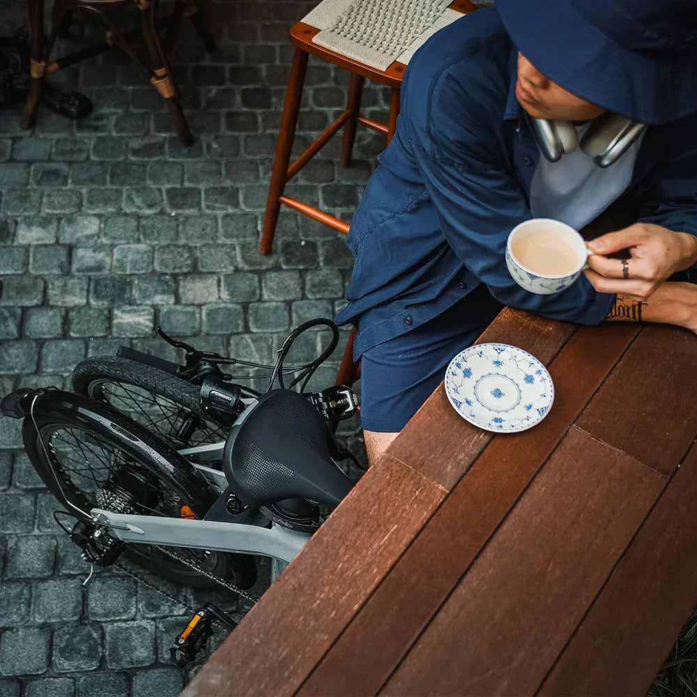 FIIDO D11 2025 Mountain Electric Bike - UK - Pogo Cycles