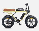 ENGWE M1 Dual Passenger Electric Bike - Pogo Cycles