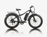 BURCHDA RX02 All-Terrain Electric Bike