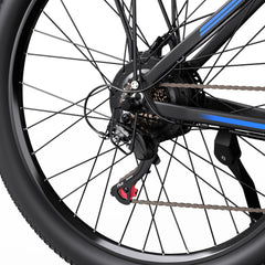 DUOTTS C29-L Electric Bike
