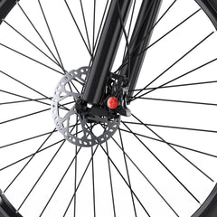 DUOTTS C29-L Electric Bike