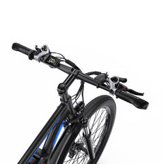 DUOTTS C29-L Electric Bike
