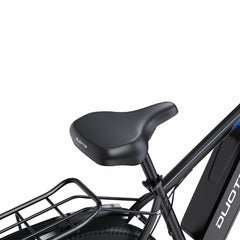 DUOTTS C29-L Electric Bike