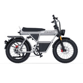 Coswheel CT20 electric bike on a white background
