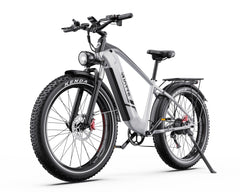 DUOTTS F26 Lite Electric Cycle with Kenda tires on a white background