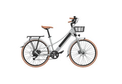 EMotorad Plymouth Electric Bike