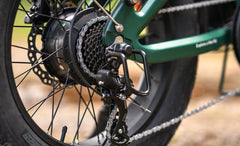 Close-up of a Engwe EP-2 3.0 Boost Electric Bike's gear system with a blurred natural background