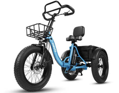 Eskute T302 Pro Cargo Electric Trike