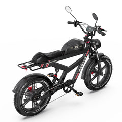 DUOTTS F20 Upgraded Electric Bike