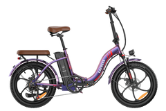 FAFREES F20 Pro City Electric Bike