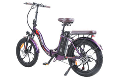 FAFREES F20 Pro City Electric Bike