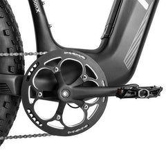 Fafrees F26 Carbon M Electric Bike - Pogo Cycles