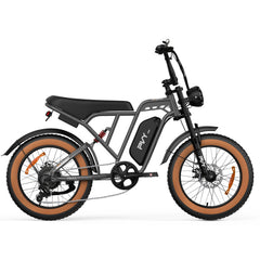 PVY A20 Electric Bike