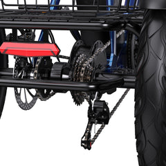 APEFOX RH30 Cargo Tricycle Bike