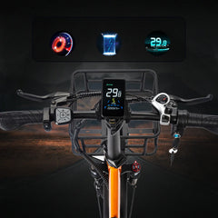 Ridstar MN20 Electric Bike