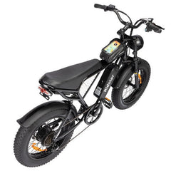 Ridstar Q20 Mini Electric Bike