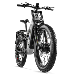 Bicycle Leictreach Dúbailte Shengmilo S600Pro