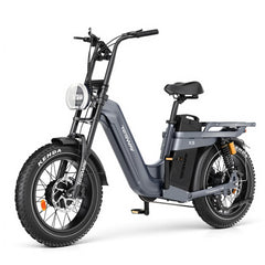 TESWAY X5 AWD Step-Thru Dual Motor Electric Bike