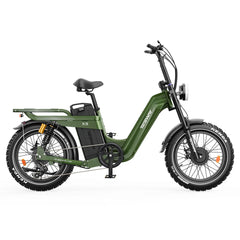 TESWAY X5 AWD Step-Thru Dual Motor Electric Bike