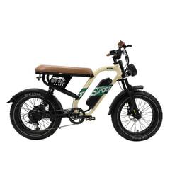 ONESPORT W66 Moto-Style Electric Bike