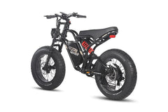 Fafrees F20 Ultra Electric Bike - Ireland - Pogo Cycles - with battery view