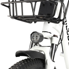 PHILODO Traveller Family & Cargo Electric Bike