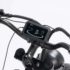 Ridstar Q20 Pro Electric Bike - Pogo Cycles
