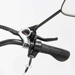 Ridstar Q20 Pro Electric Bike - Pogo Cycles