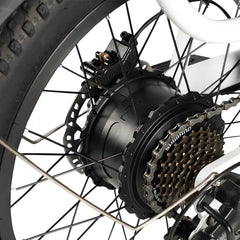 PHILODO Traveller Family & Cargo Electric Bike - Pogo Cycles