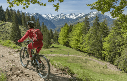 Person riding an electric mountain bike on a forest trail with scenic mountains, Pogo Cycles