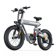 Coswheel T20 All Terrain Cargo Electric Bike