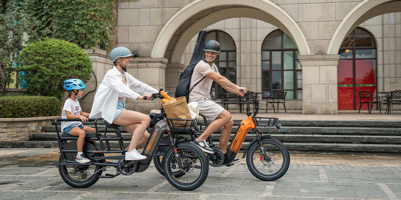 LANKELEISI Wombat-1 Cargo Electric Bike