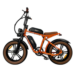 PVY X20 Electric Bike