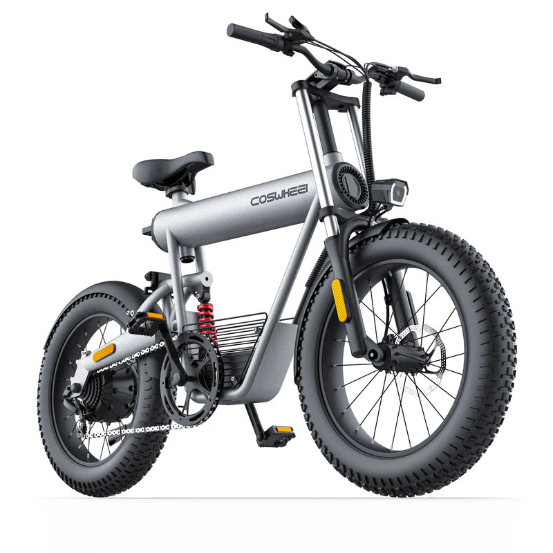 Coswheel T20 All Terrain Cargo Electric Bike