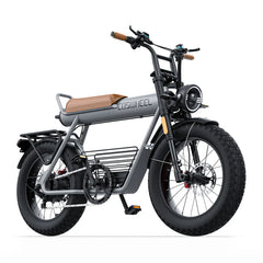 Coswheel CT20 Cargo Electric Bike