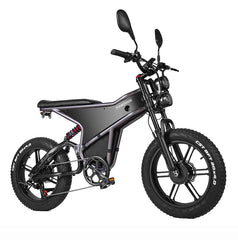 RANDRIDE DM711 Dual Motor Electric Bike