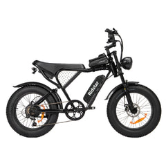 Ridstar Q20 Electric Bike