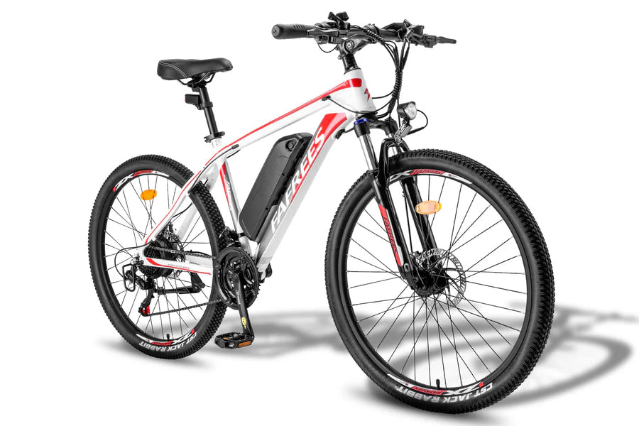 Fafrees 26 Hailong One Electric Bike