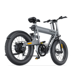 Coswheel T20 All Terrain Cargo Electric Bike