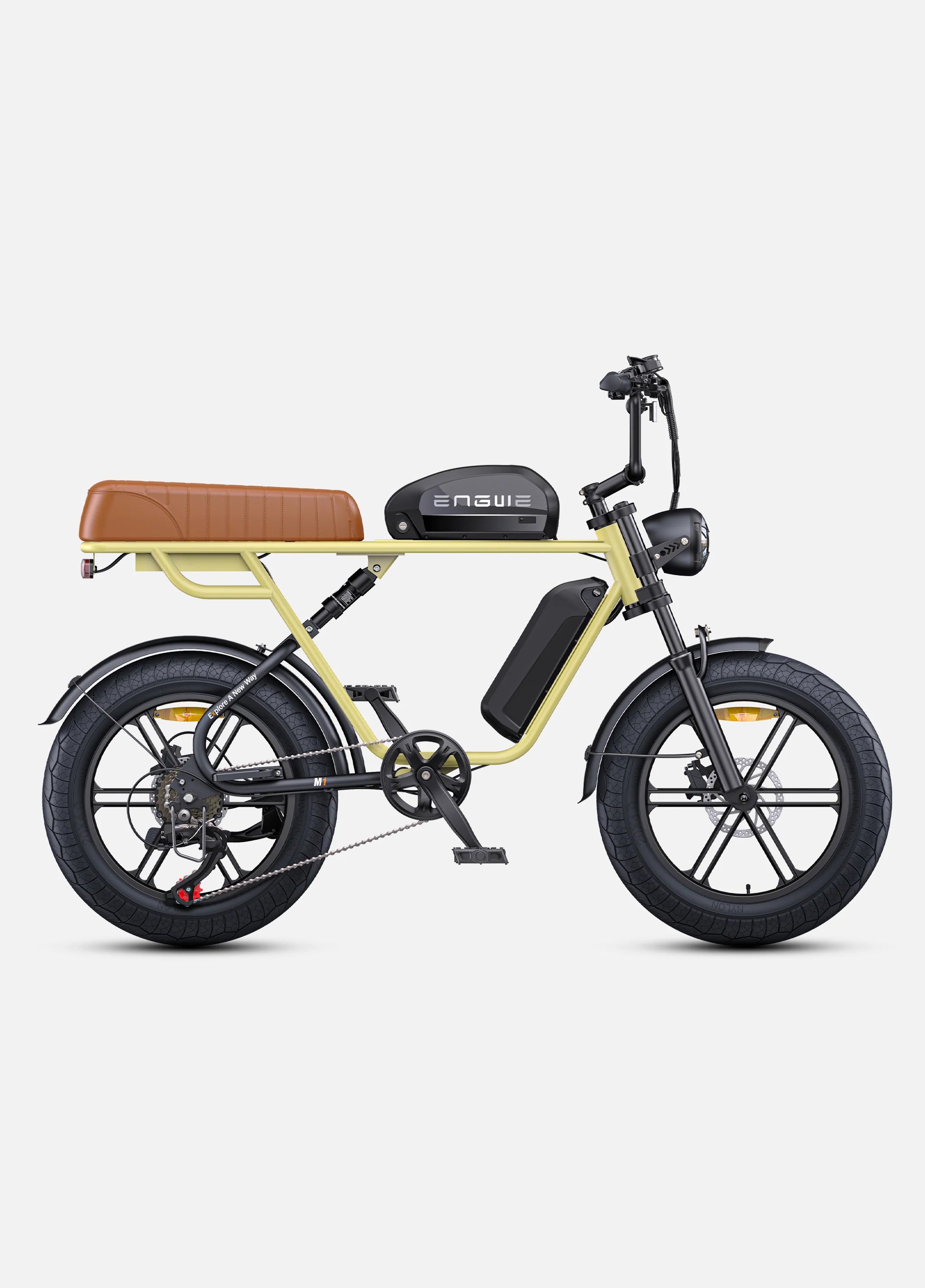 ENGWE M1 Dual Passenger Electric Bike