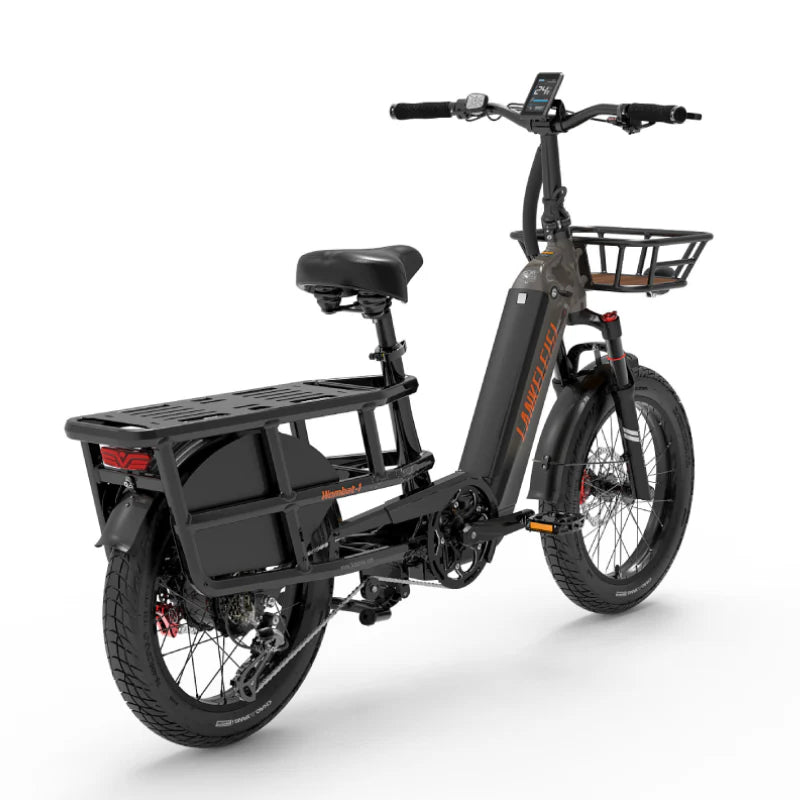 LANKELEISI Wombat-1 Cargo Electric Bike