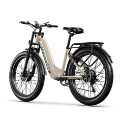 Shengmilo S700 1000W*2 Dual Motor Electric Bike