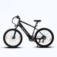 Bodywel M275 Electric Bike - Pogo Cycles