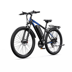 DUOTTS C29-L Electric Bike