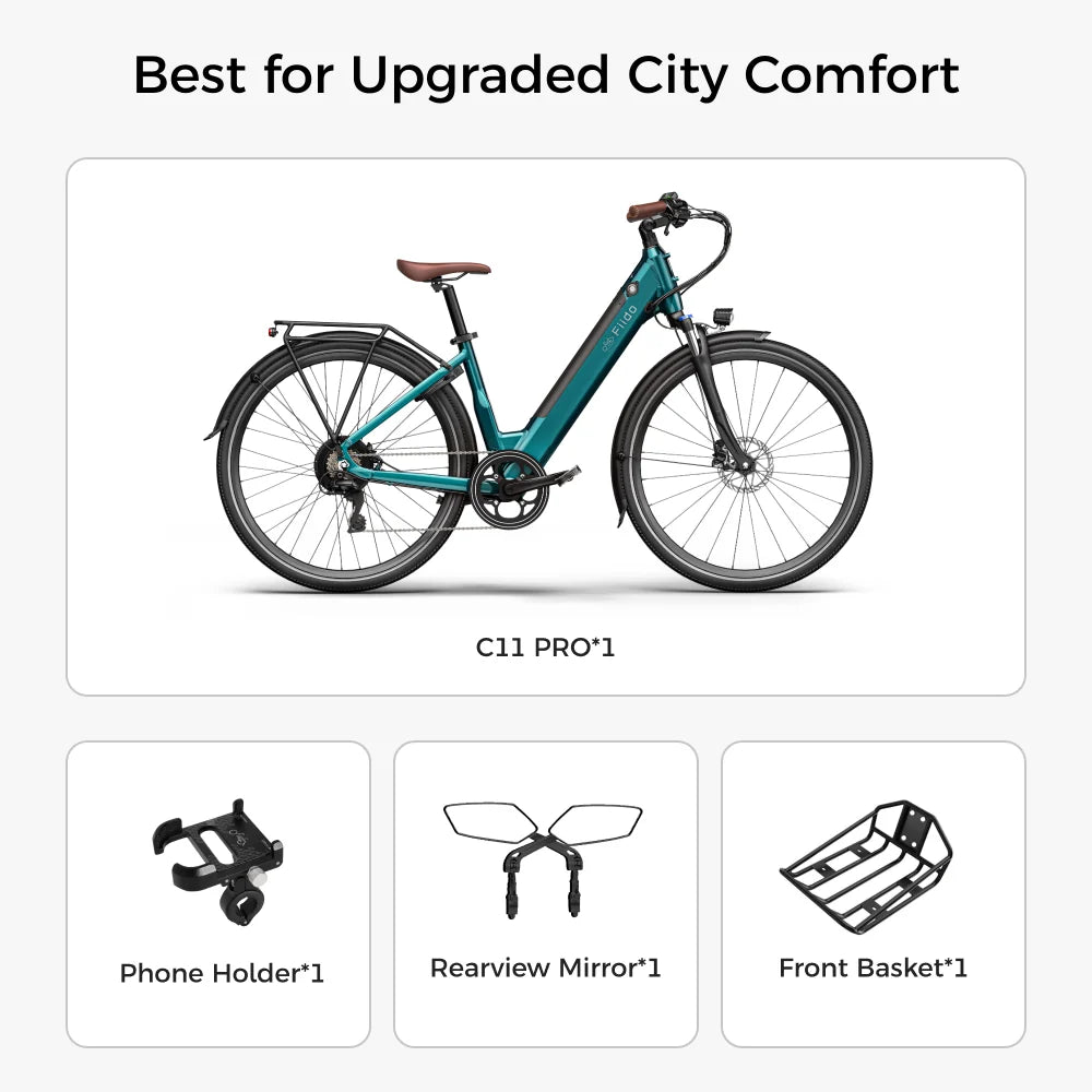 Fiido C11 Pro Electric Bike