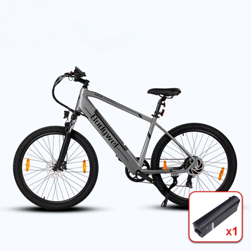 Bodywel M275 Electric Bike - Pogo Cycles