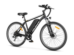 Yoloway M10 Electric Bike