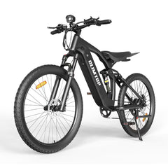 Bopzin Q31  Electric Bike