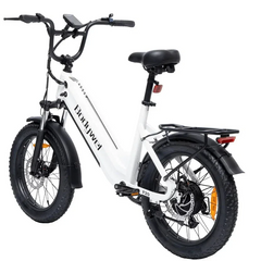 Bodywel F20 City Electric Bike